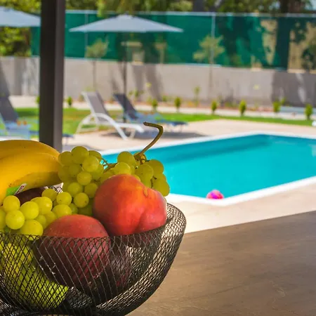 Olia Βίλα Βασιλική